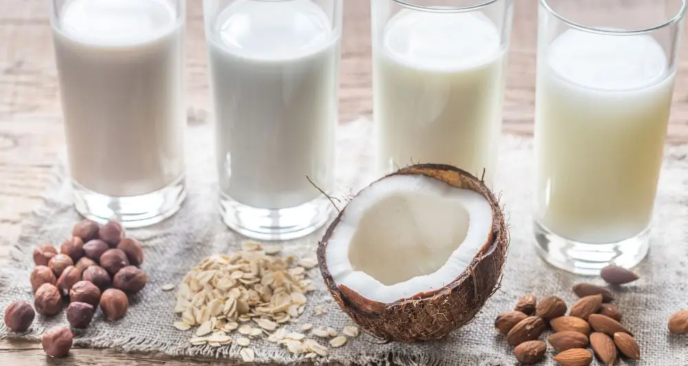 Different Types of Non-Dairy Milk