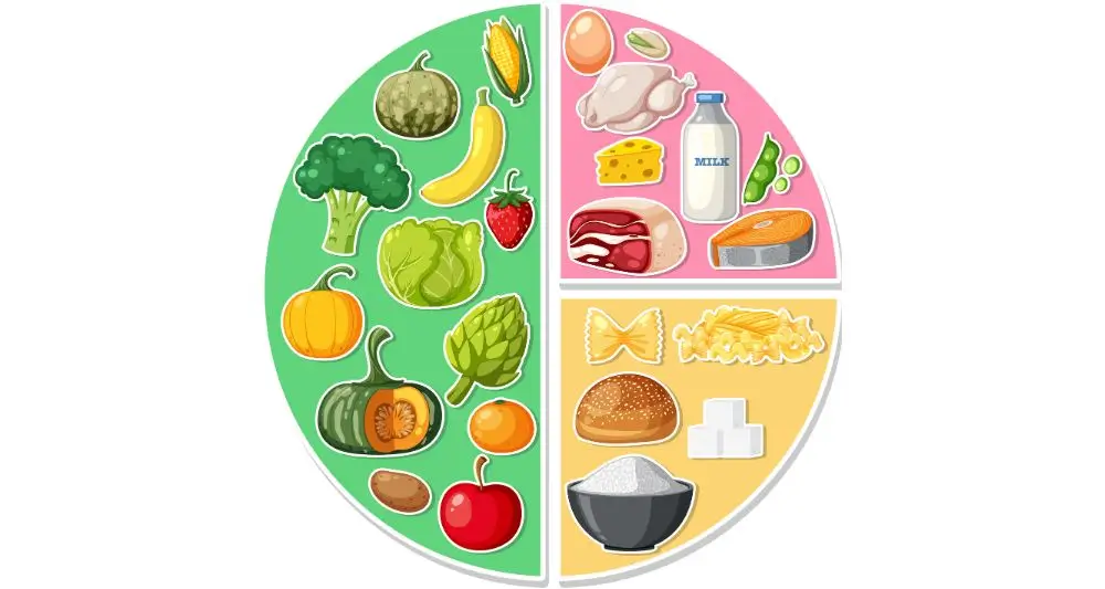 Macronutrients Diagram with Food Ingredients