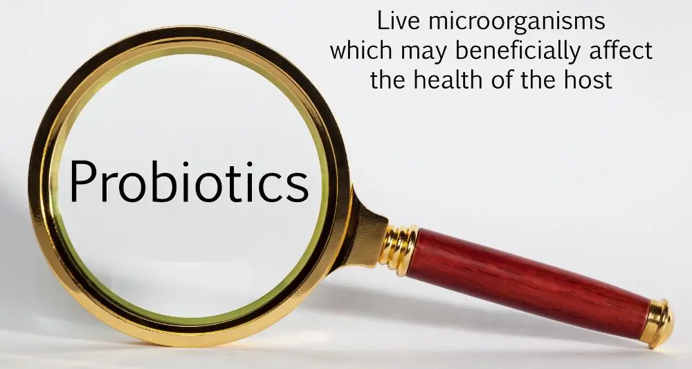 Probiotics Concept